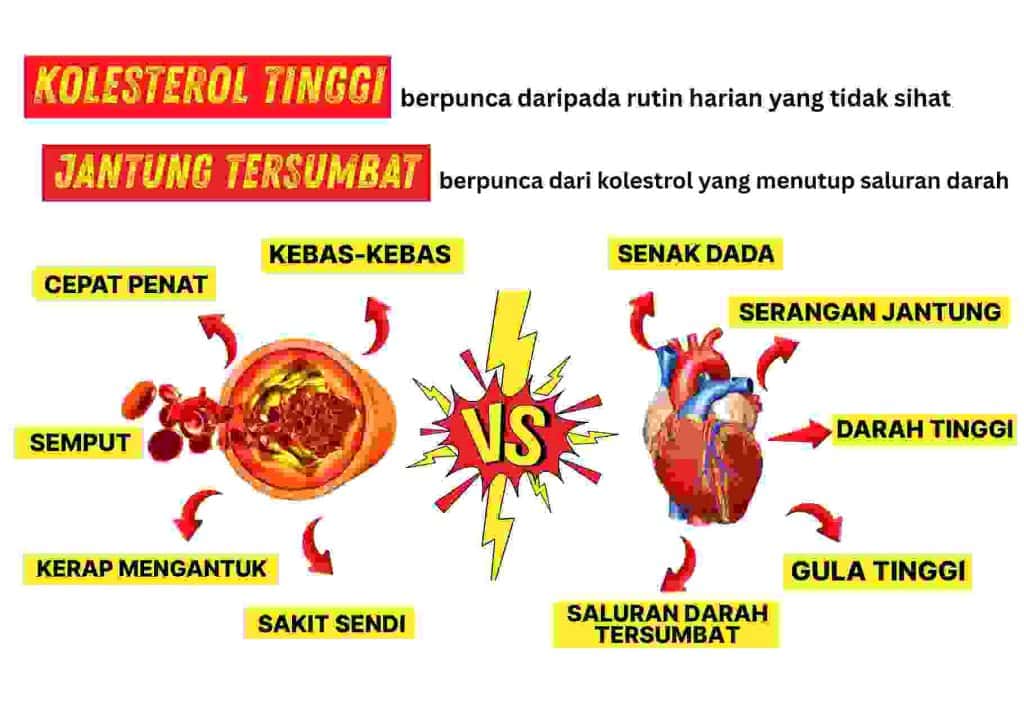 High cholesterol blockage versus clogged arteries infographic.